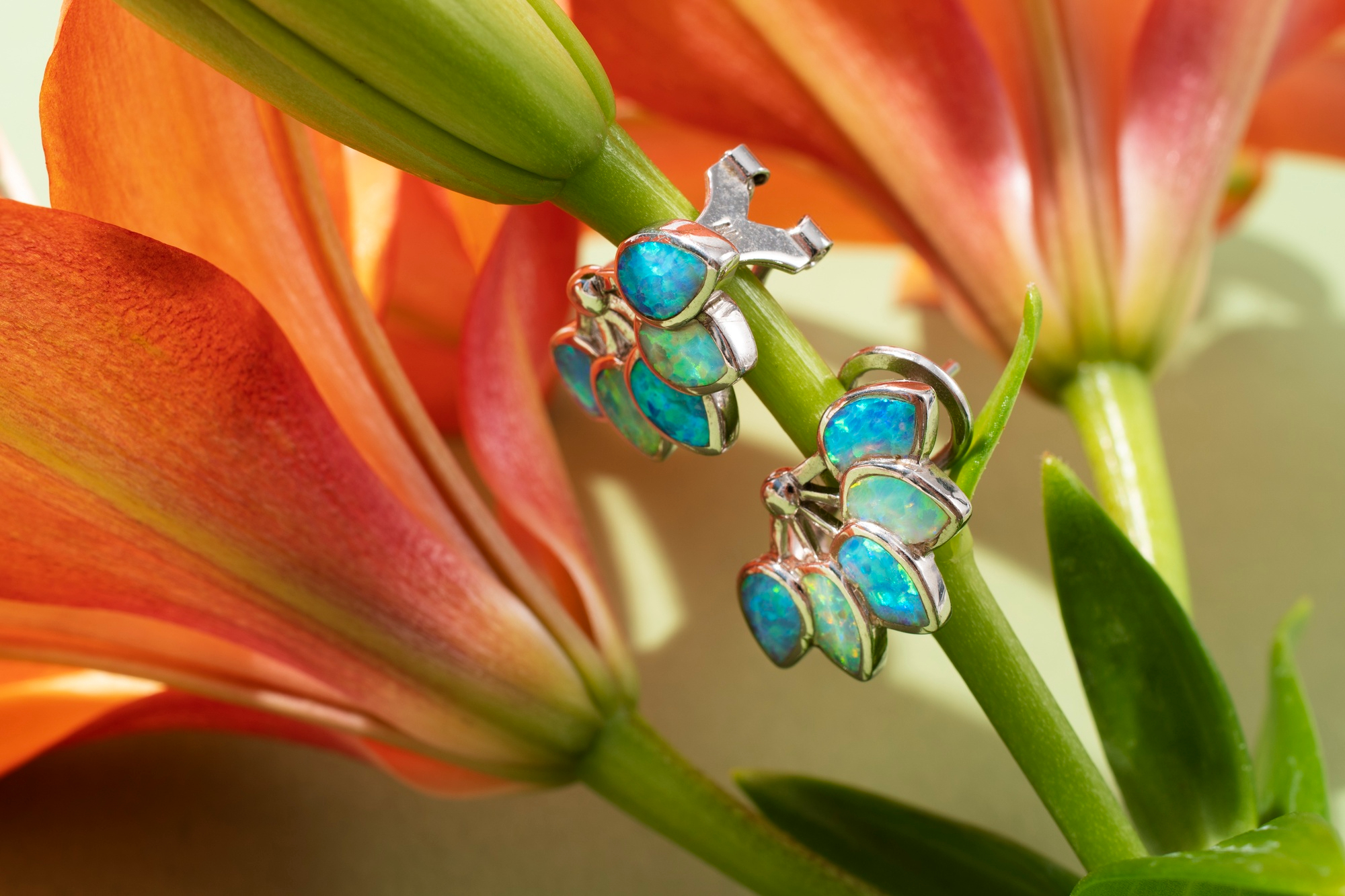 opal earrings studs